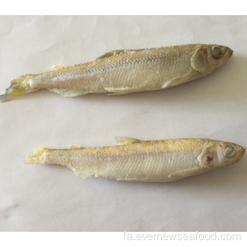 بوی حوض تازه یخ زده خوشمزه